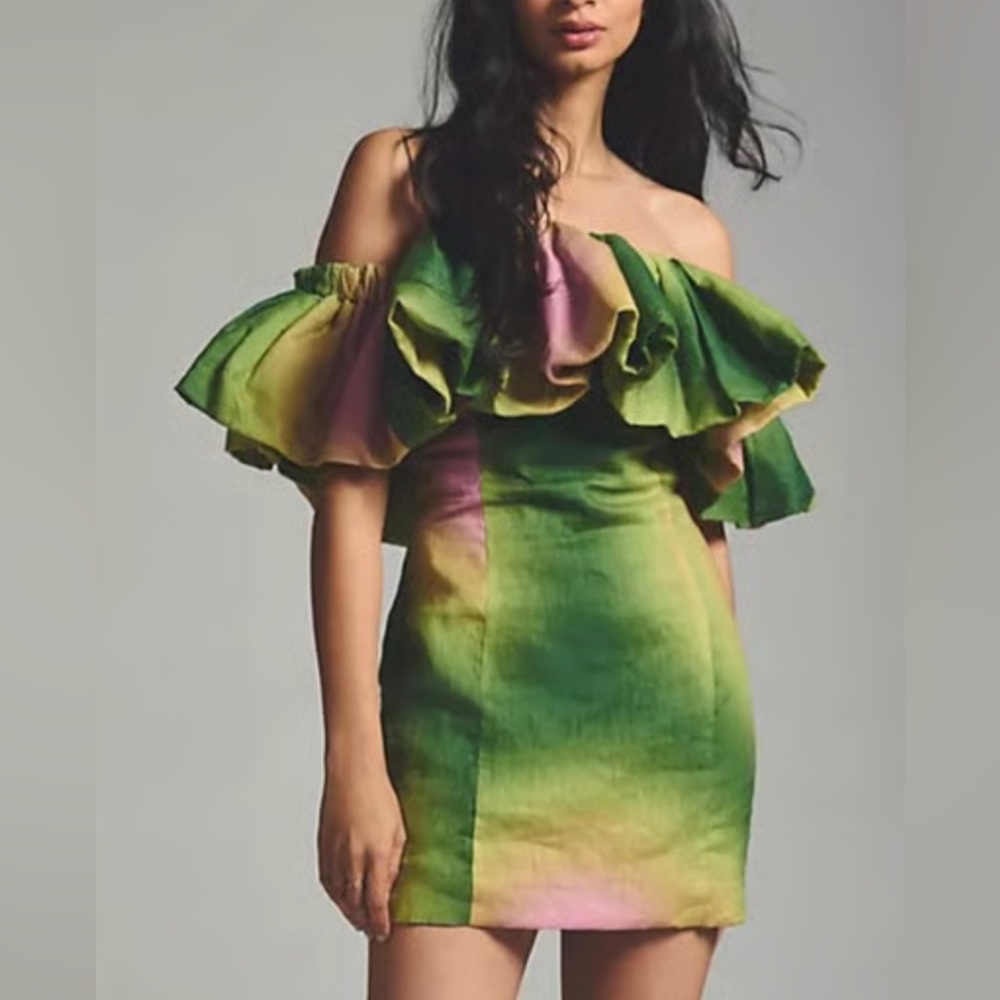 NWT Wolf Gang ruffle dress
